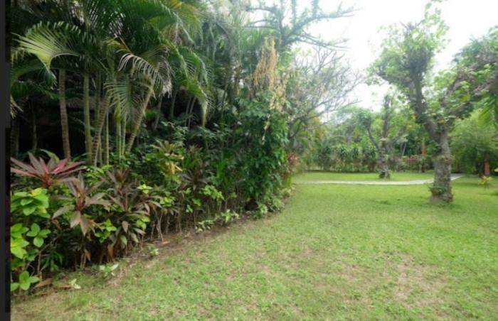Apel Homestay Pemuteran Extérieur photo