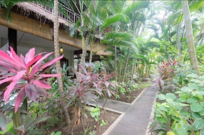 Apel Homestay Pemuteran Extérieur photo