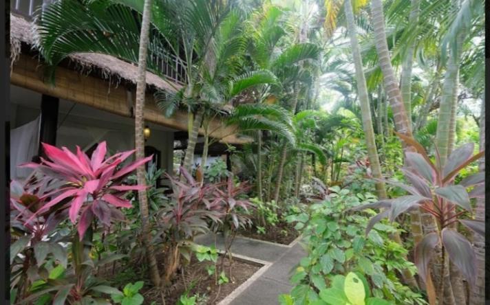 Apel Homestay Pemuteran Extérieur photo