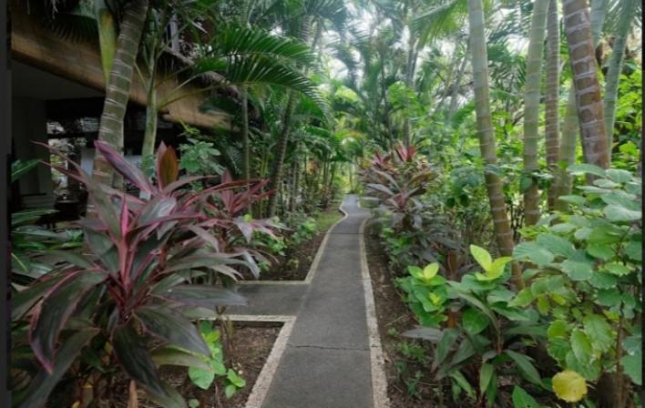 Apel Homestay Pemuteran Extérieur photo